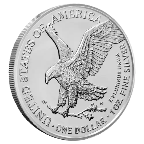 2026 1 oz American Silver Eagle (3)